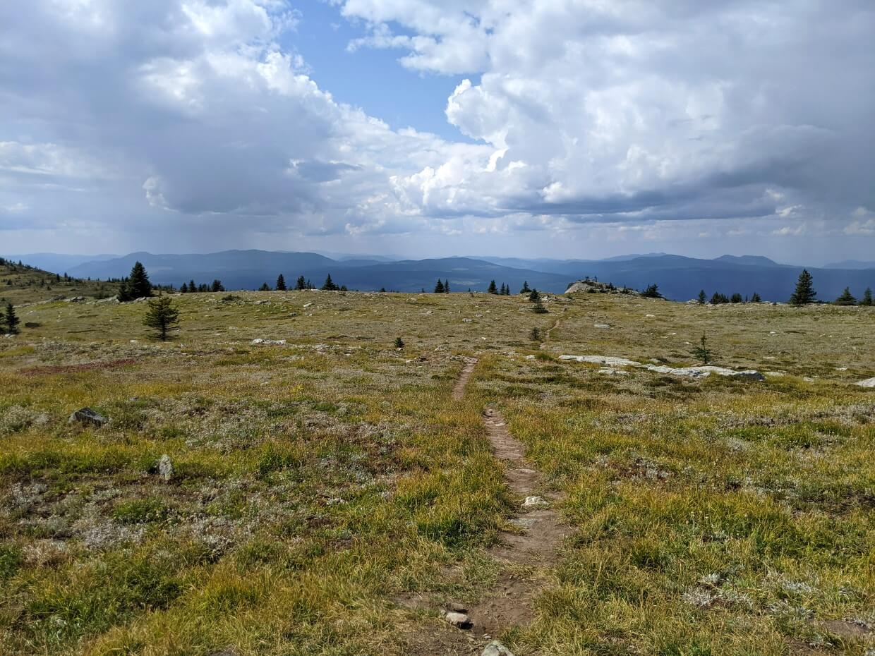 Dirt trail leading ahead with gentle ascent, towards ridge lookout with scattered trees and mountain peaks ahead