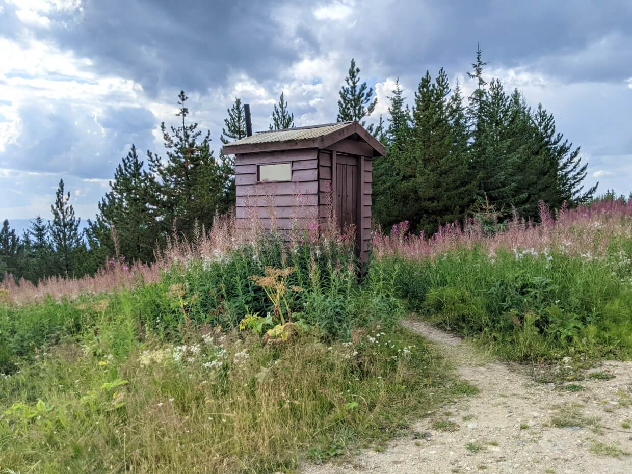 Wooden outhouse building surrounded by purple fireweed wildflowers at Trophy Meadows parking lot