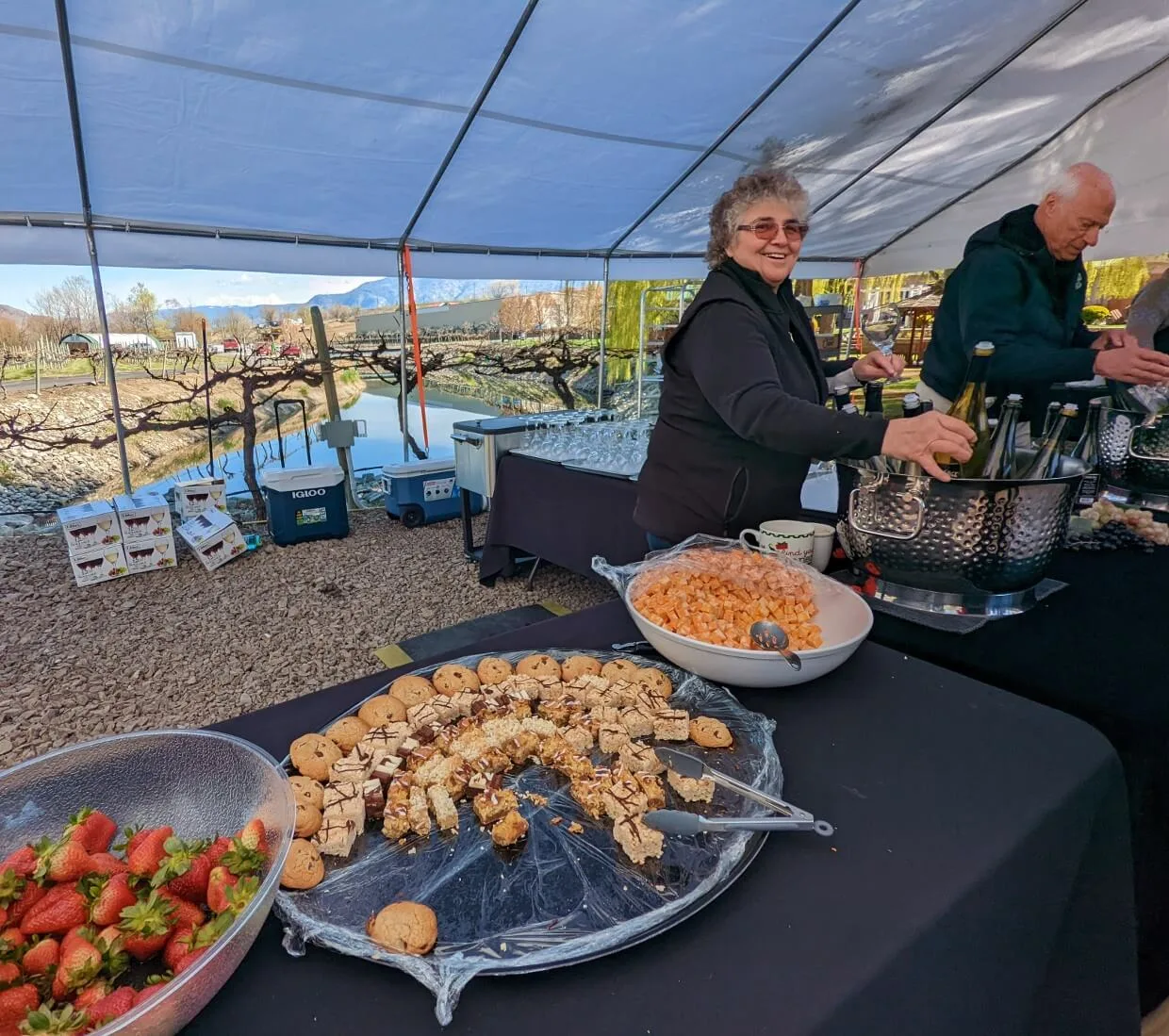 Spread of buffet food at Half Corked Marathon with Silver Sage wine servers behind