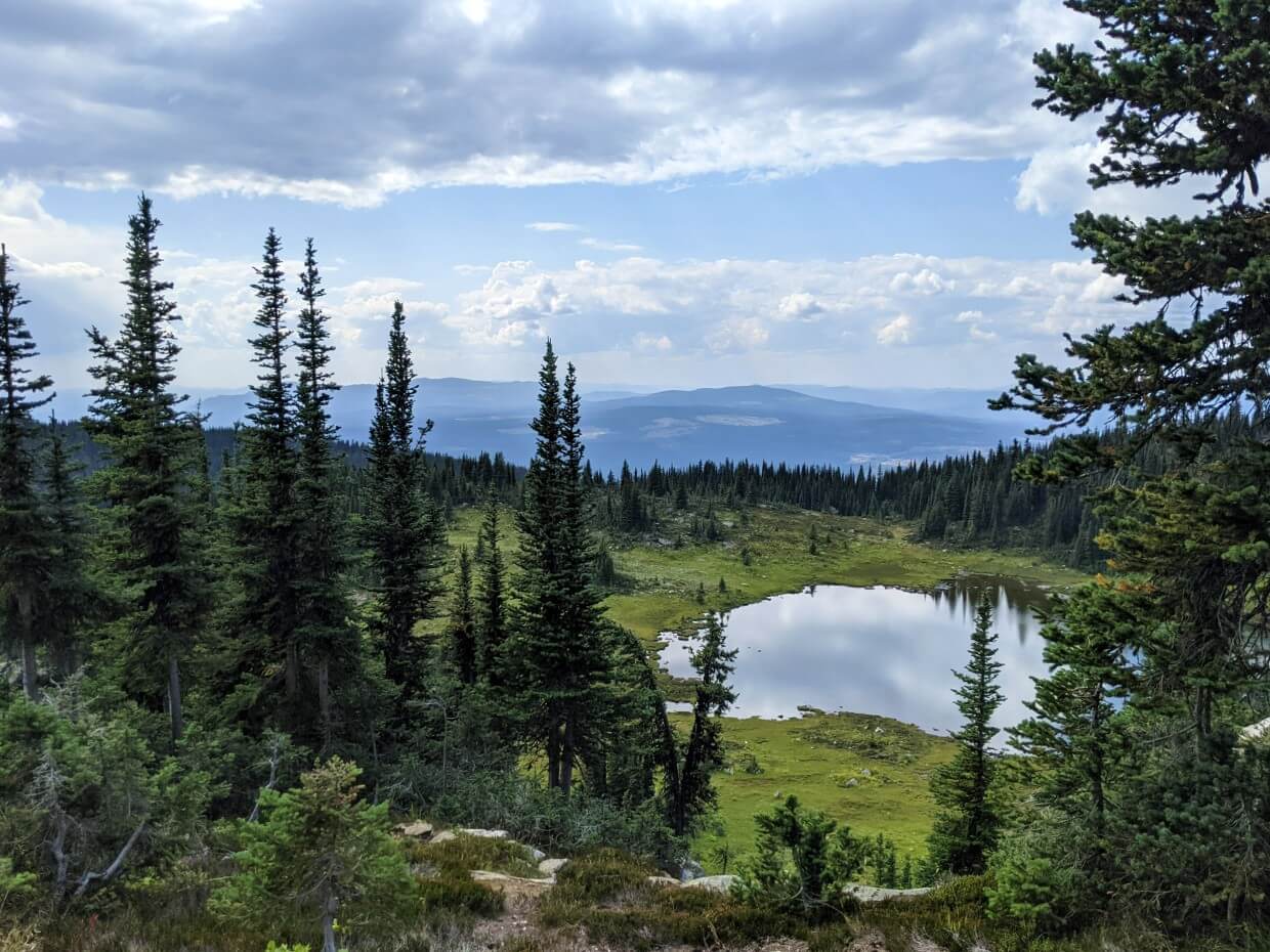 Looking through trees down to alpine lake with rounded mountains in background