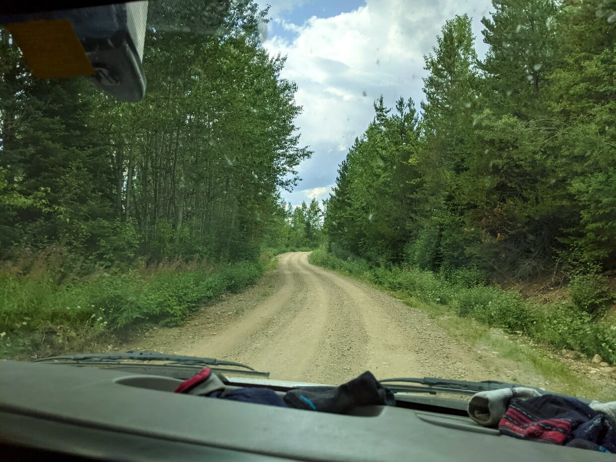 Looking through vehicle windshield to dirt road, which is surrounded by trees