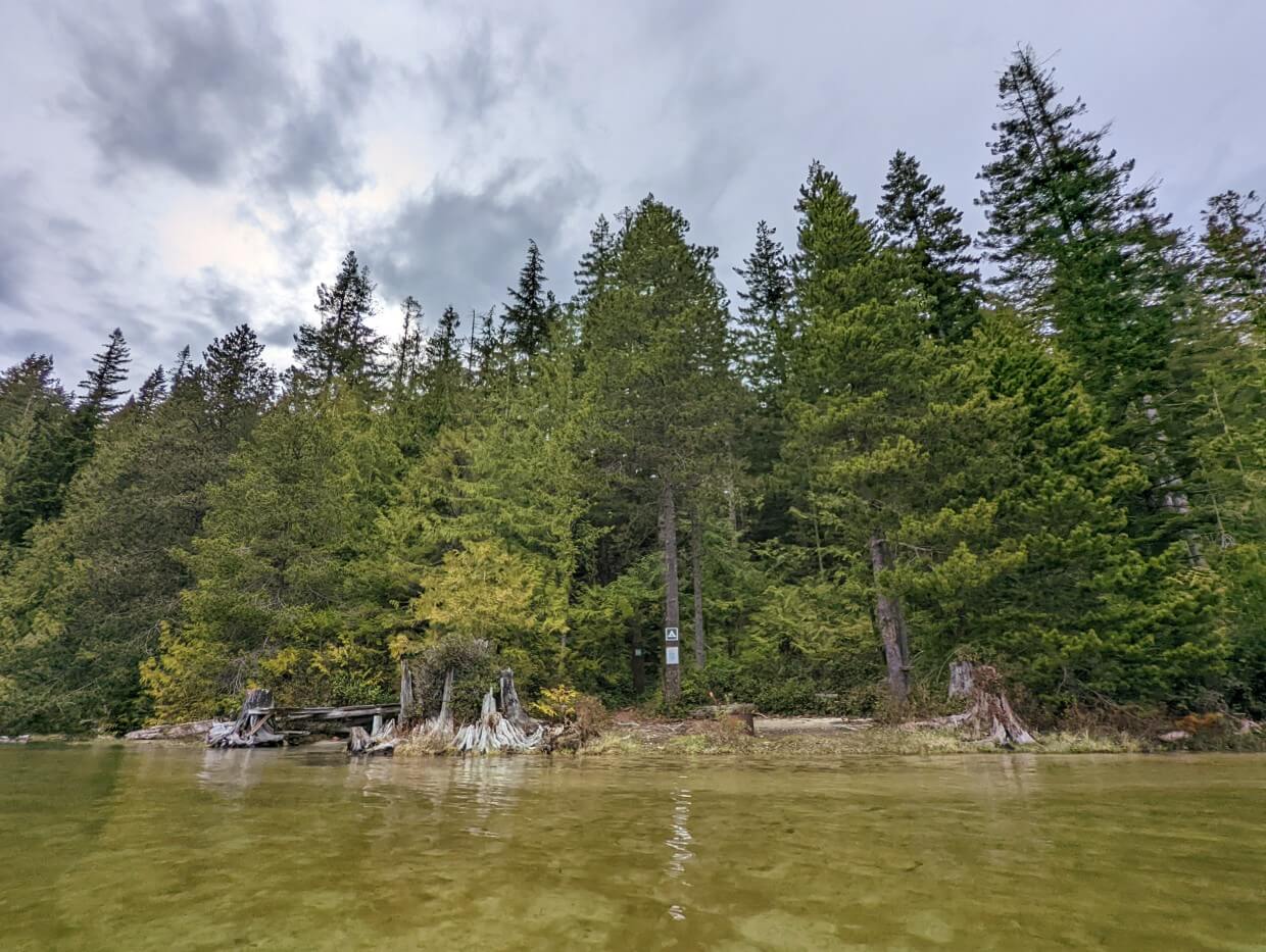 View from the water of a flooded campsite. The water's edge is a mix of dense with trees and brush.