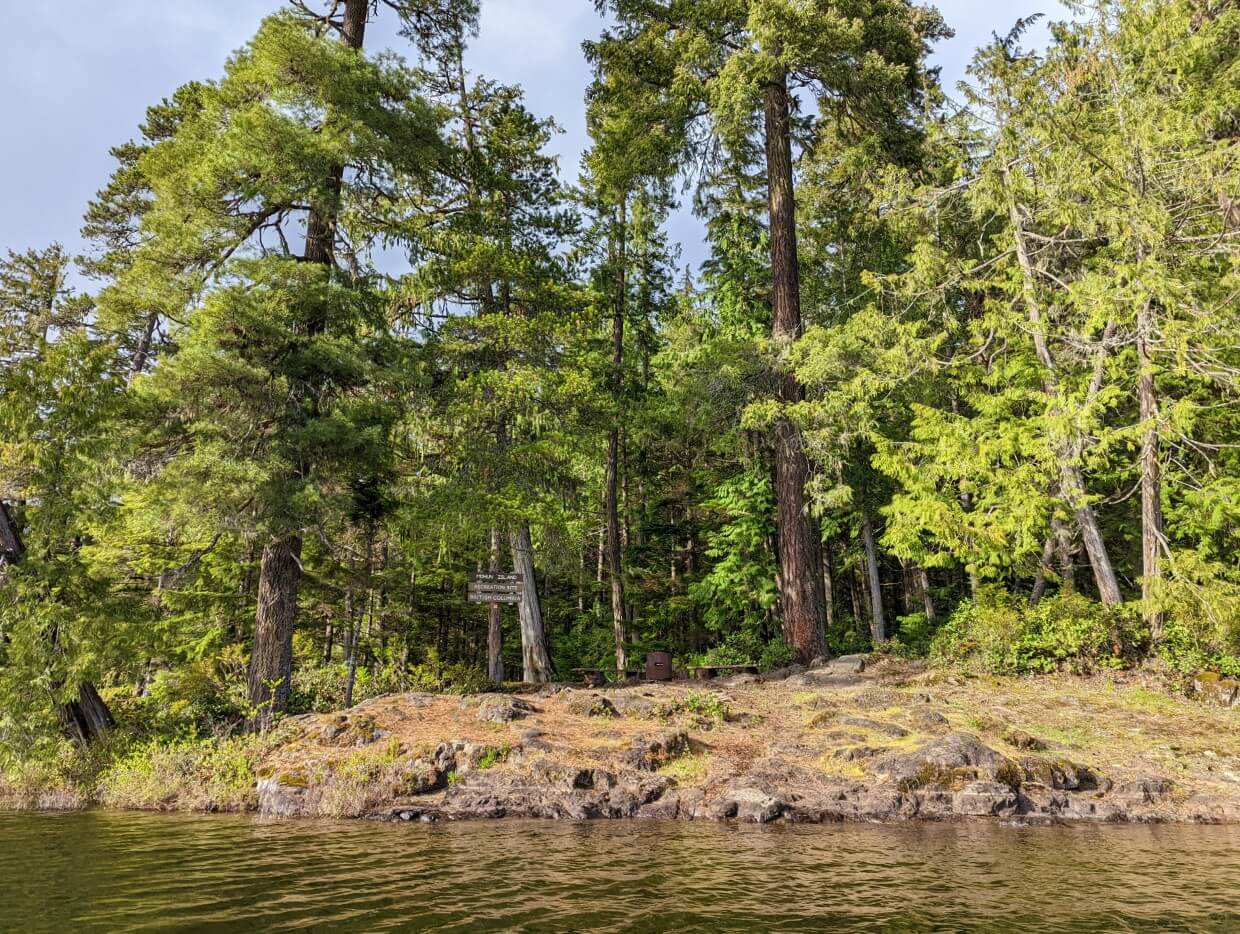 View from Mohun Lake of a Mohun Island campsite. The shore is covered in moss covered stone and the campsite is within the forest.