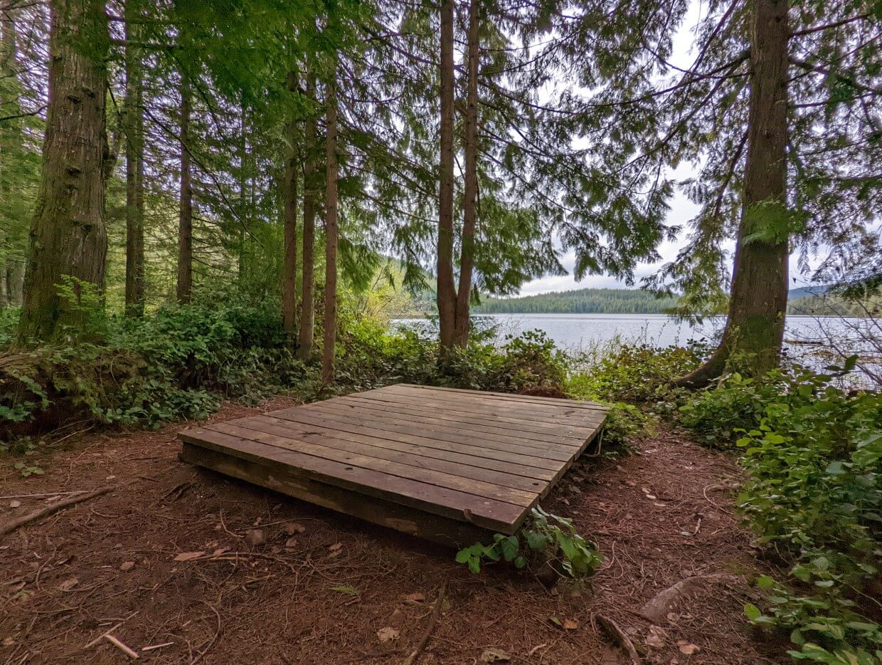 A tent pad at Mr Canoehead Recreation Site. It's close to a lake and surrounded by large trees.
