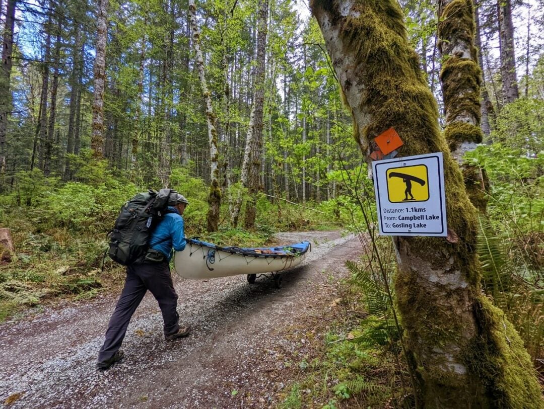 Sayward Forest Canoe Circuit Complete Paddling Guide