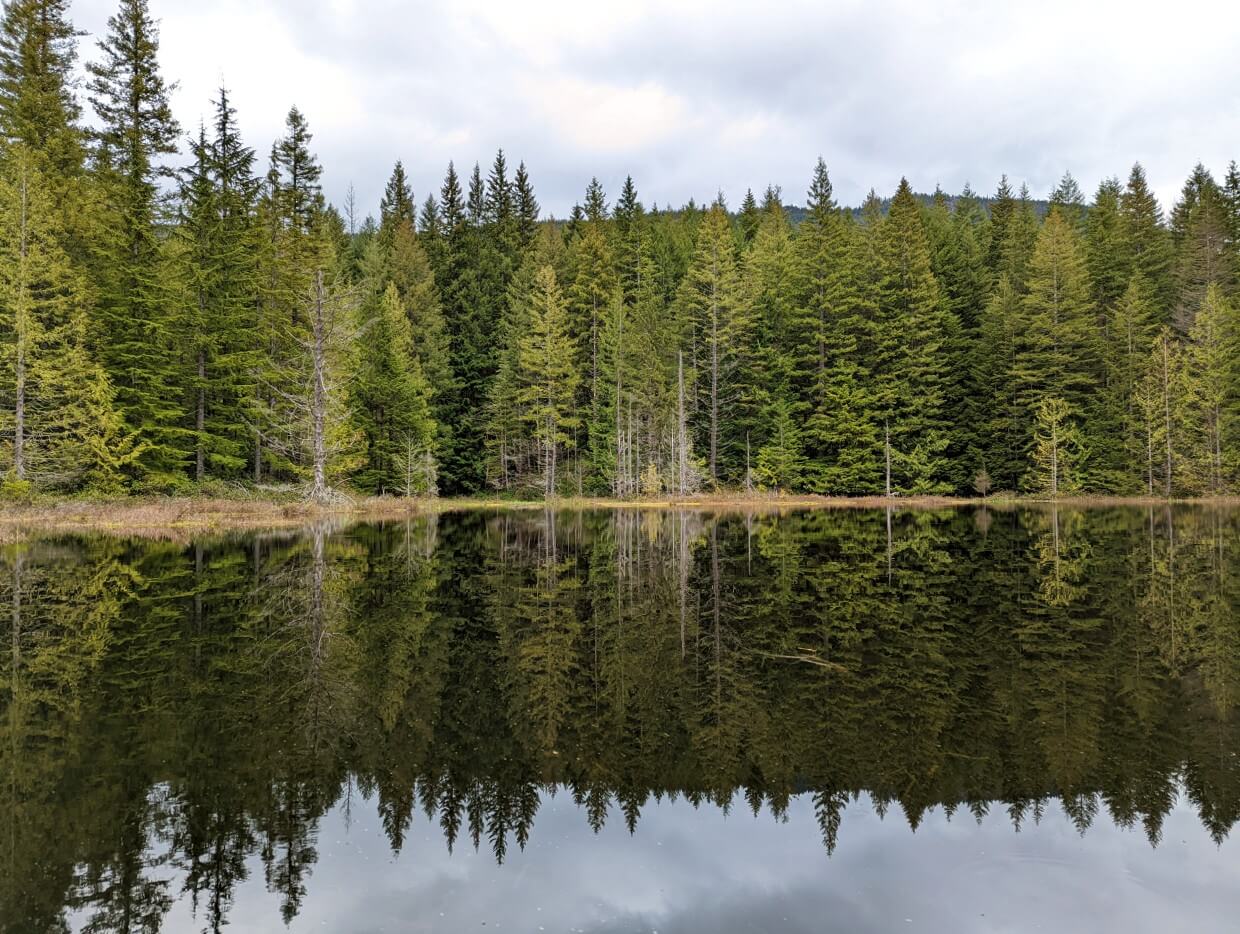 Reflection of trees in the water on one of the ponds near Twin lakes. The water is still and the sky is overcast.