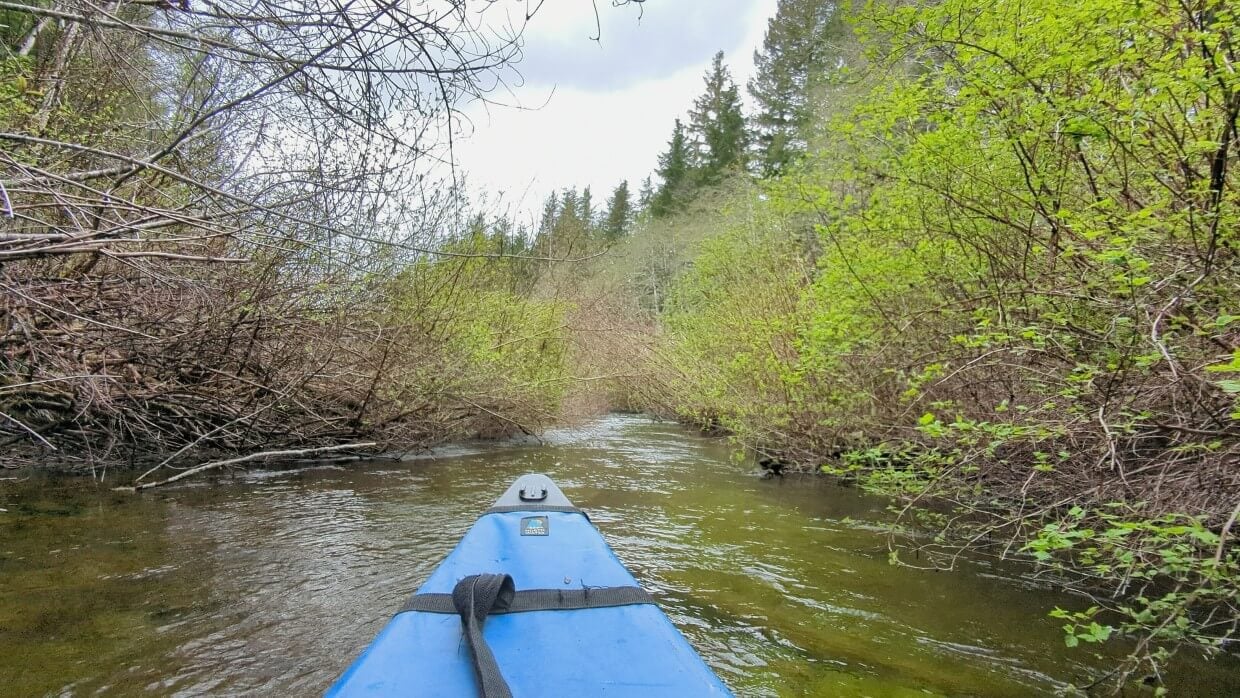 Tip of a canoe on a narrow part of a river. The water is crowded by dense foliage on either side.