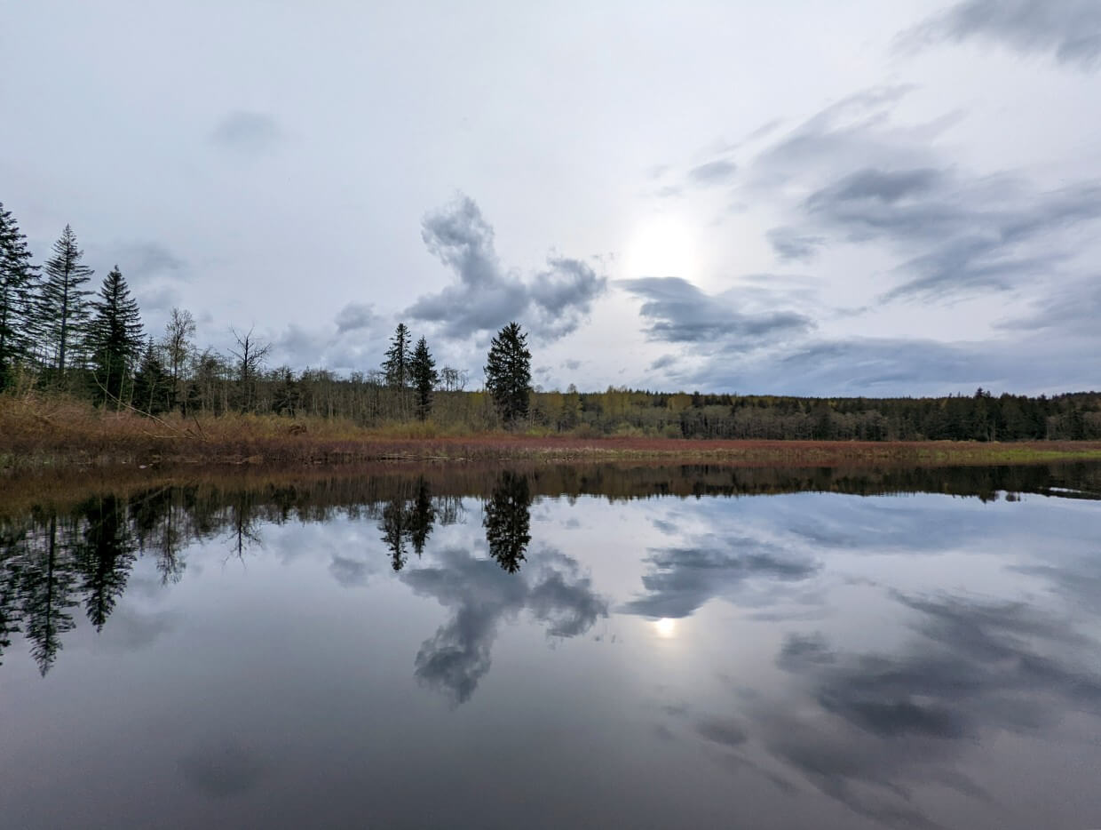 View of Whymper Lake. The water is still and reflecting the trees that dot the shoreline as well as the sun.