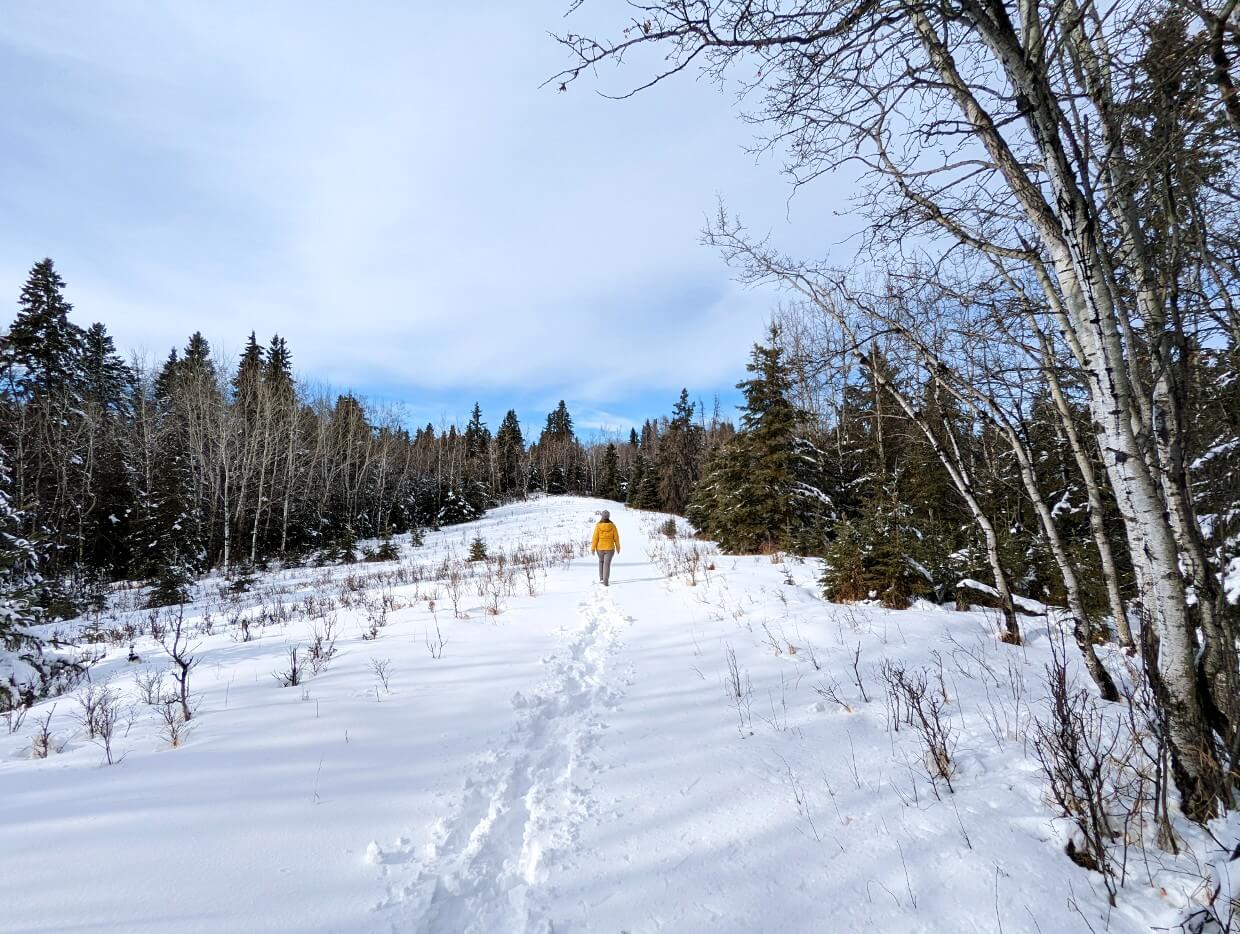 Back view of Gemma walking through snowy landscape in yellow jacket at JJ Collett Natural Area