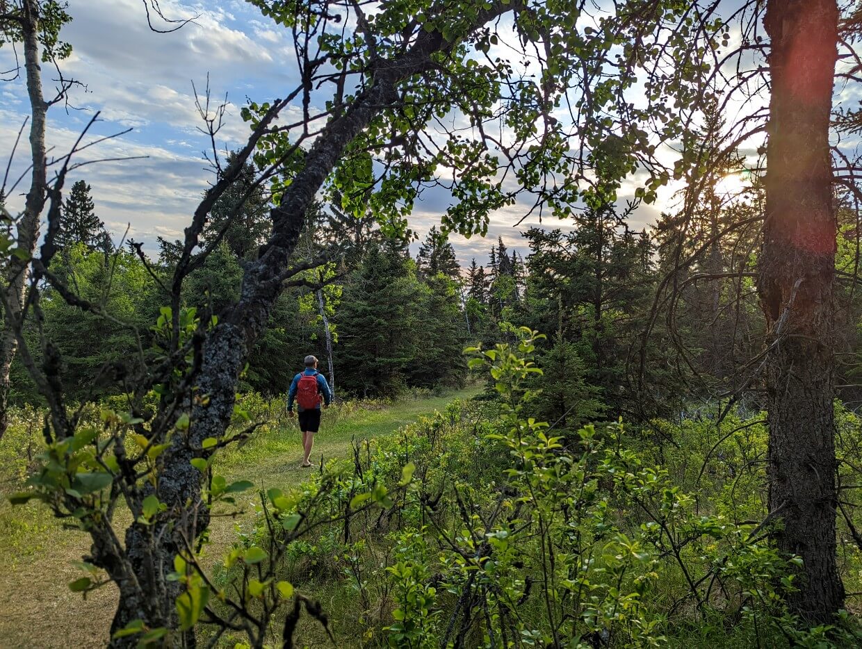 Side view through trees of JR hiking on trail in JJ Collett Natural area in spring