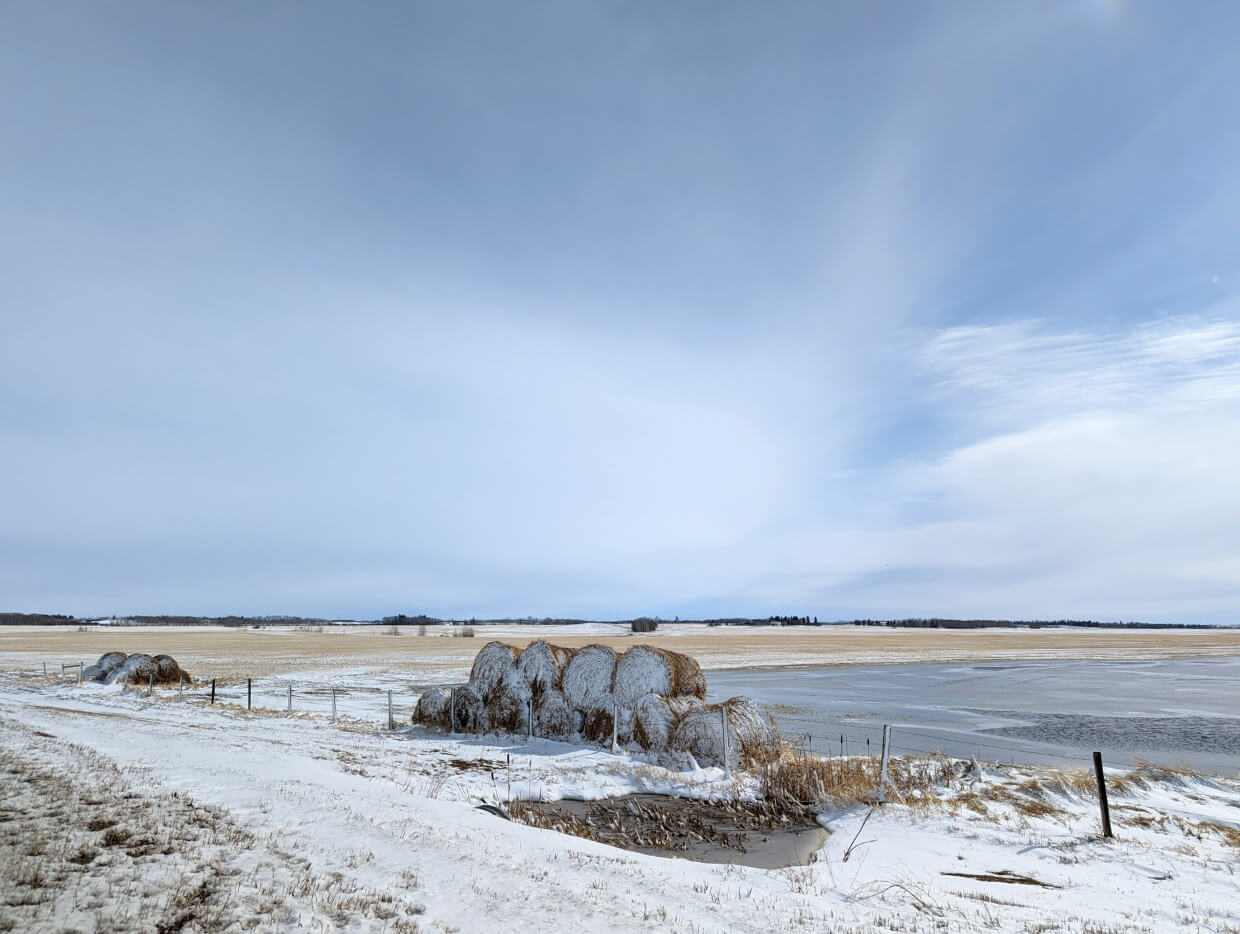 Snowy farm landscape with snow covered hay bales in Lacombe Alberta