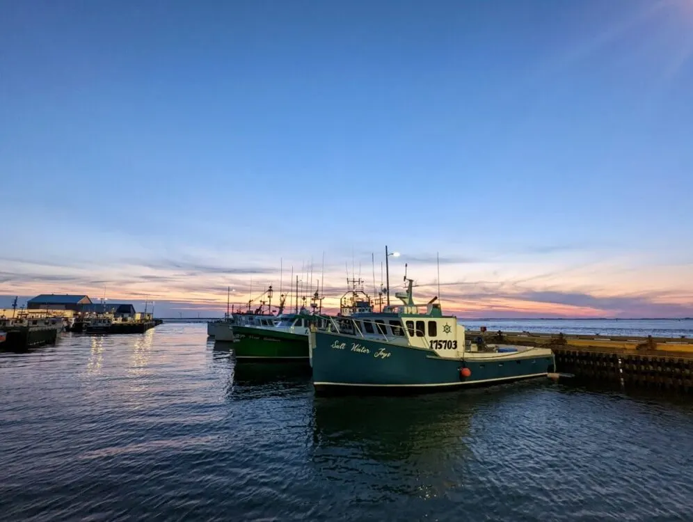A number of fishing boats at Grande-Entrée docked at the pier. In the distance the sky is a mix of sunset colours with a few wispy clouds.