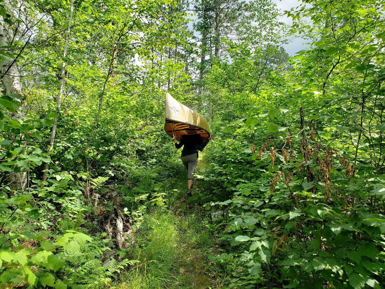 Woman carrying a canoe over her head as she portages through Quetico Provincial Park. She walks along a narrow and slightly overgrown path. Surrounding her is dense forest.