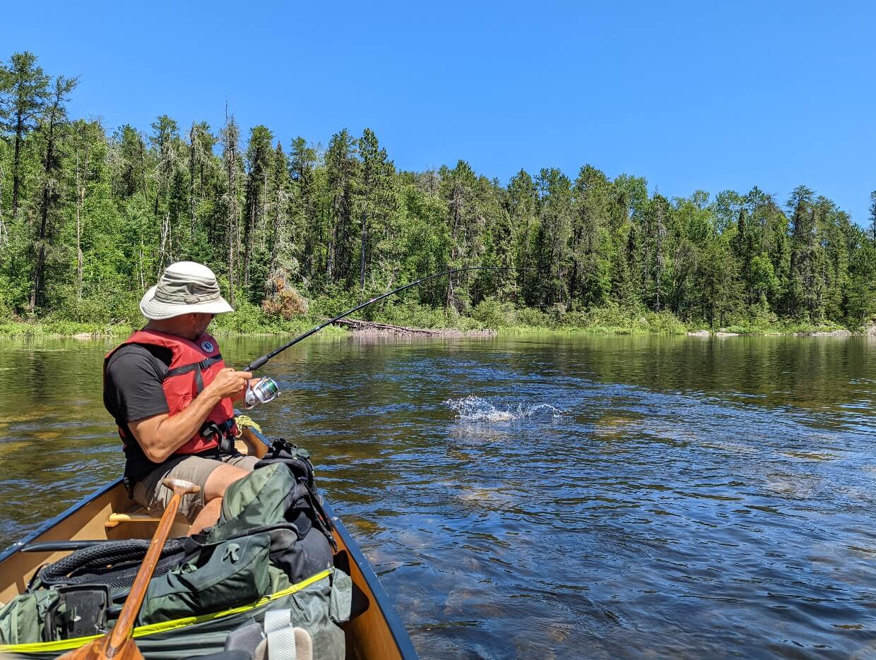 Man sitting in canoe on Batchewaung Lake. The man is holding a fishing rod with a fish starting to splash in the water in the distance. In the distance is a dense forest along the shoreline with clear blue skies above.