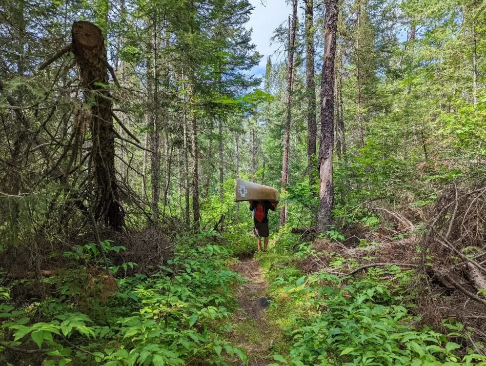 A man carries a canoe over his head along a narrow trail in Quetico Provincial Park. To either side of the trail is a mix of low lying foliage, brush, and trees. In the distance there's blue sky and clouds poking through the dense tree canopy.