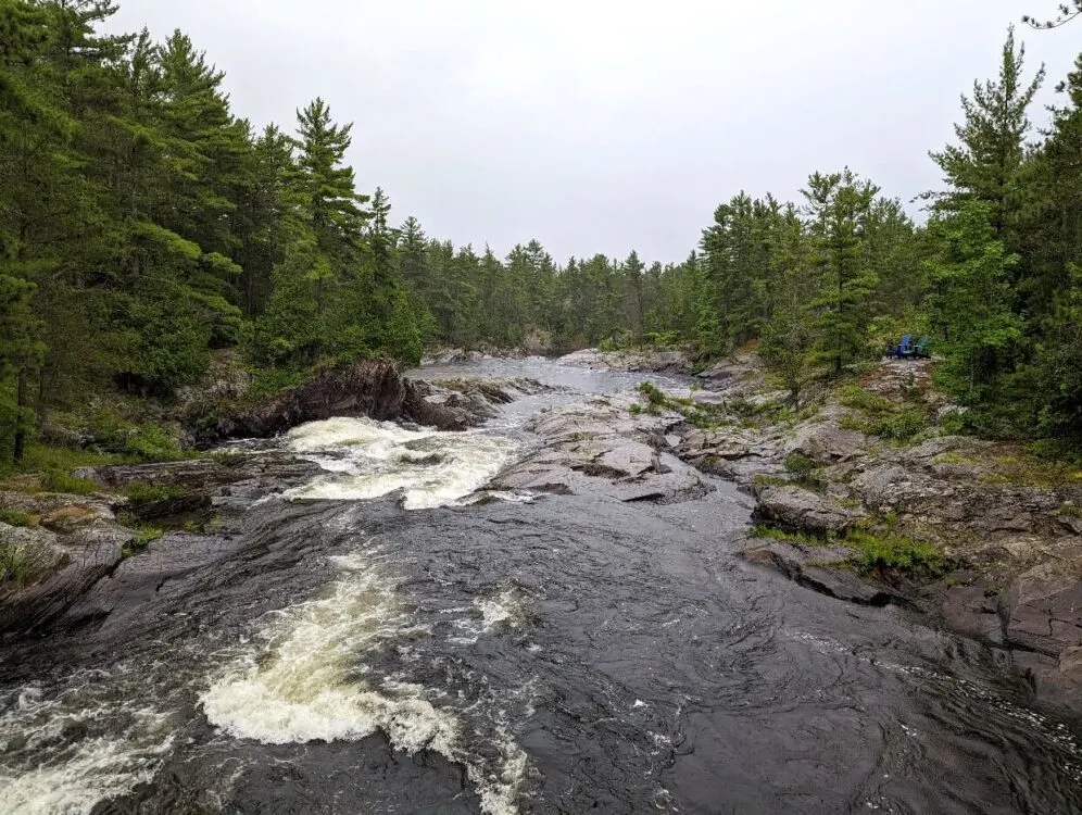 Section of rapids on river in Chutes Provincial Park, surrounded by forest on both sides