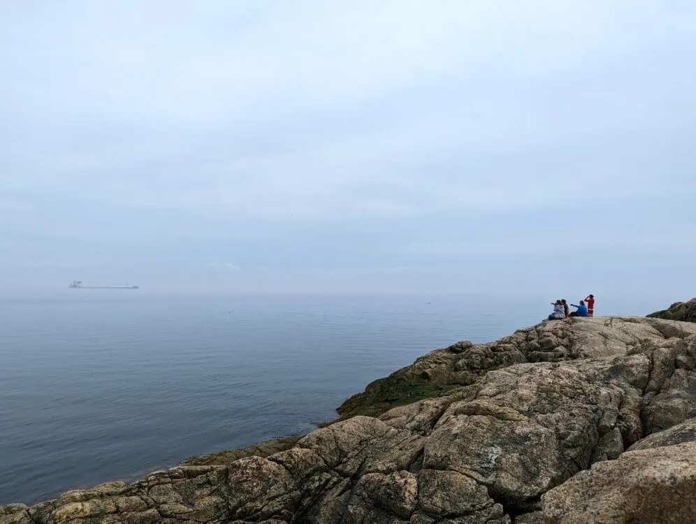 Looking across rocky shoreline towards family sat on rocks, pointing out to calm ocean at rising whale