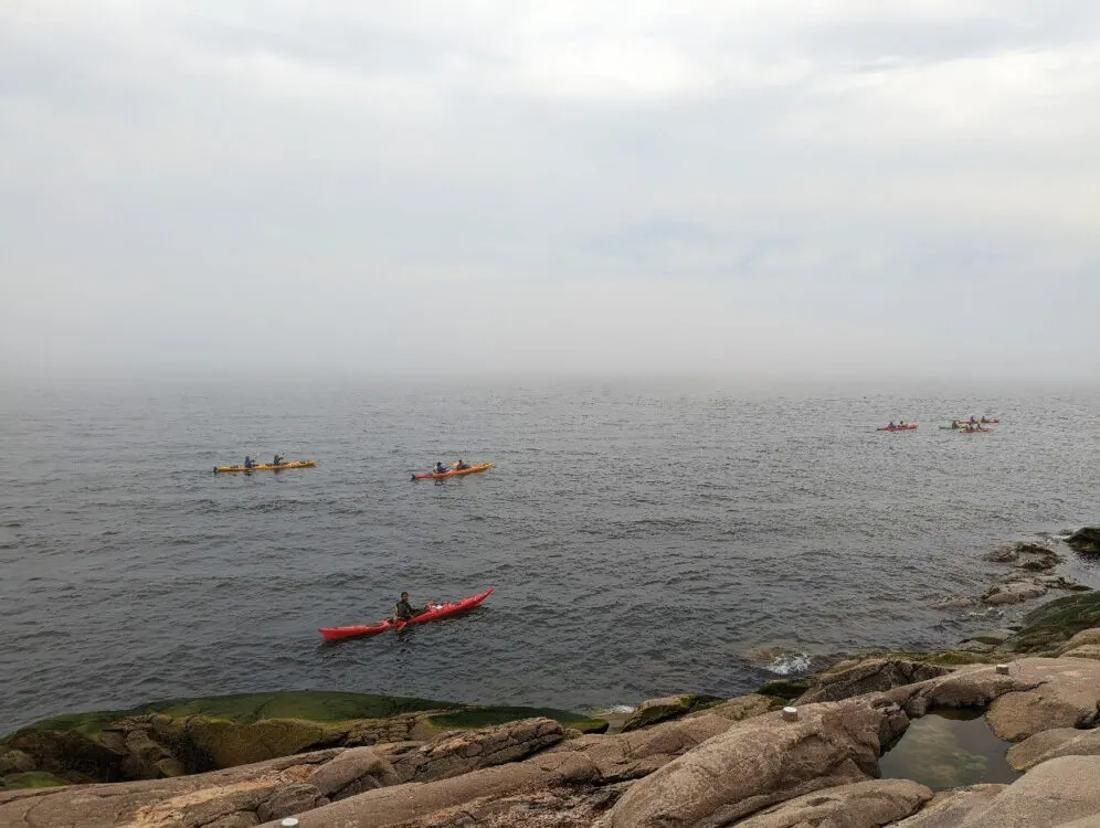 Group of seven kayaks just offshore on calm foggy day in Tadoussac