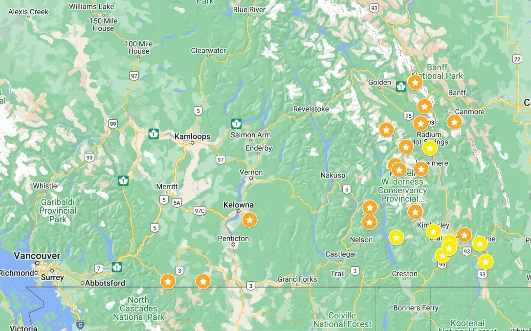 Screenshot of Google Map showing where to find larch trees in BC