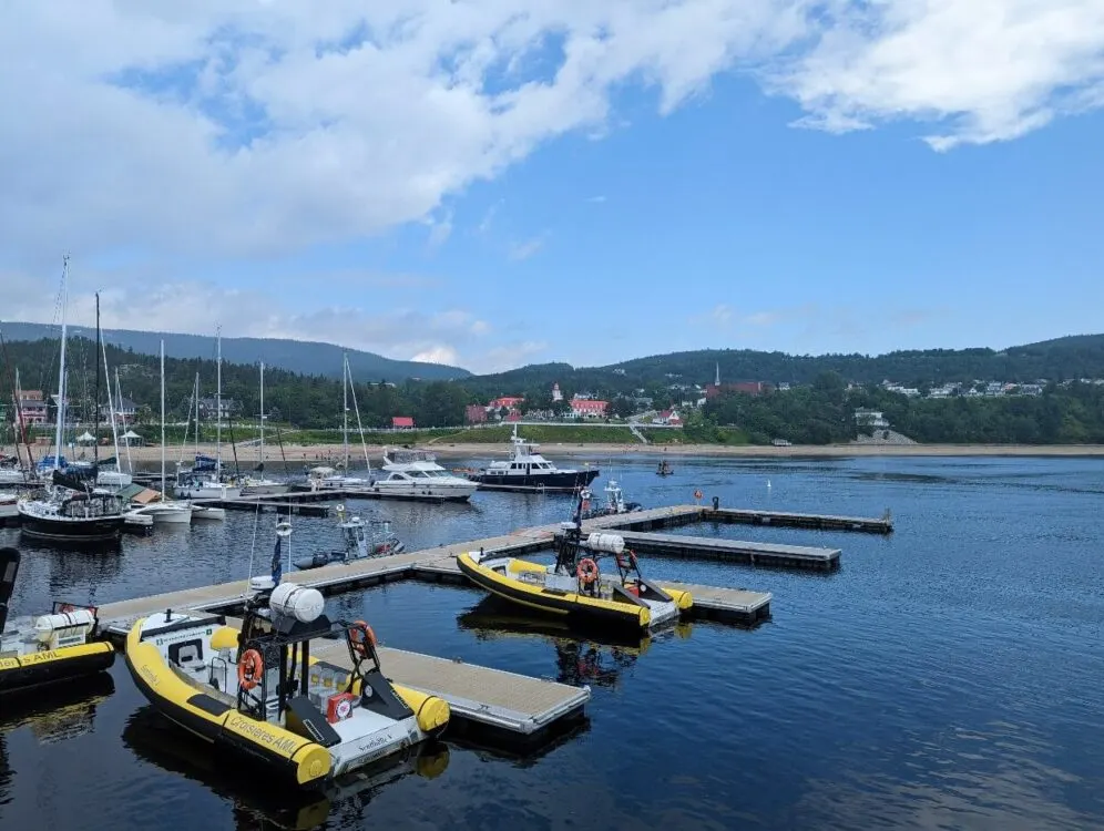 Back view of yellow AML Cruises' Zodiac boats at Tadoussac Marina, with beach and village in background 