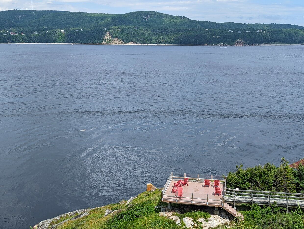 Looking down on observation platform in Saguenay-St. Lawrence Marine Park in Quebec, with white beluga whale surfacing just offshore