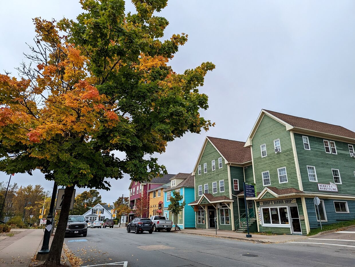Sidewalk view of colourful houses in downtown Antigonis, with green/orange trees in foreground