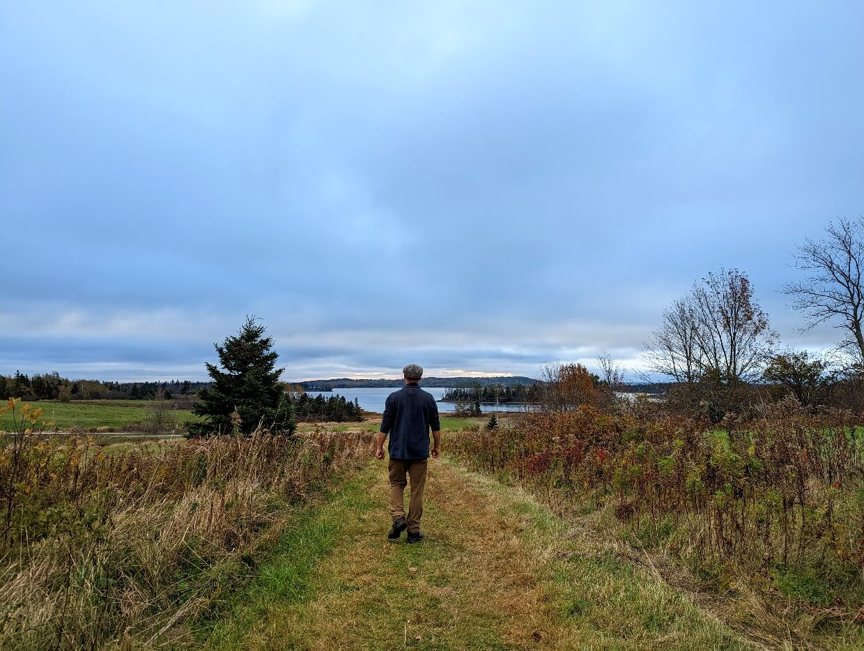 Back view of JR walking along lawn path towards ocean, with hedgerows on either side