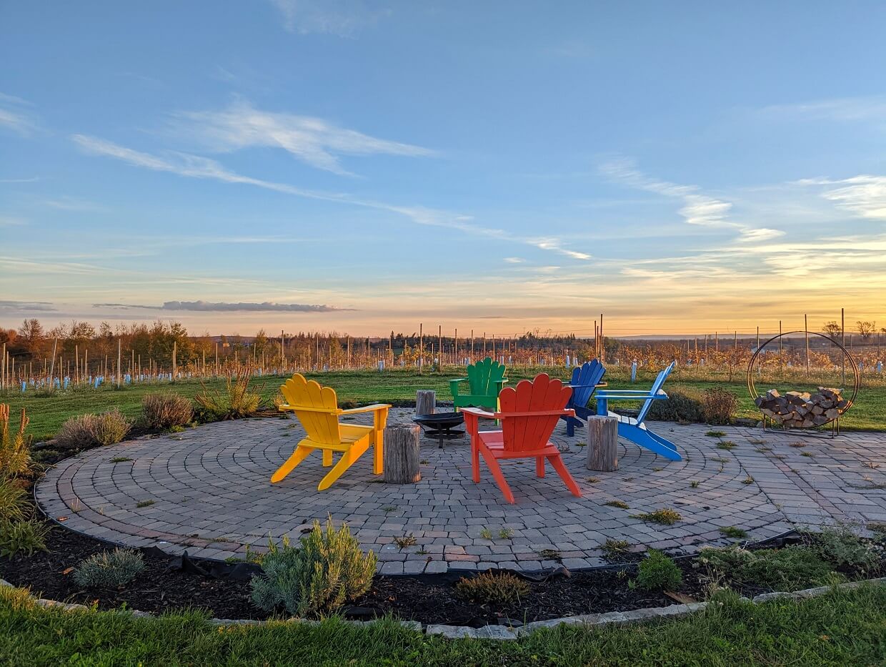Colourful seating area at Fossil Farms at sunrise, with vines in background