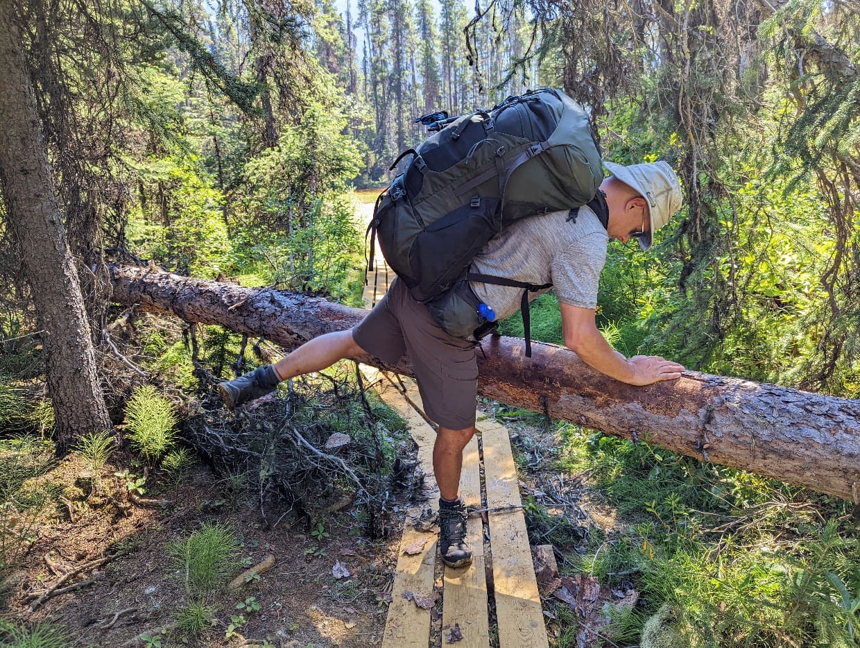 Back view of JR has he climbs over a fallen tree on the Rockwall Trail in Kootenay National Park