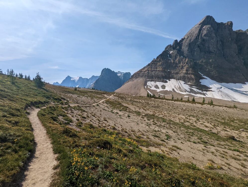 A winding dirt trail travels towards a rocky mountain, with alpine meadows on both sides