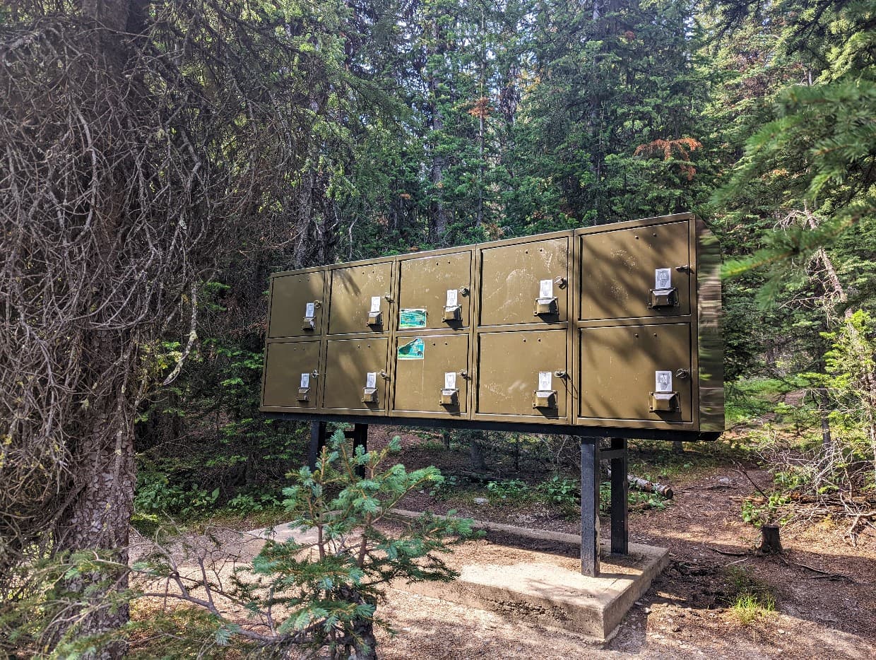 Green metal bear caches in forest at Tumbling Creek campground