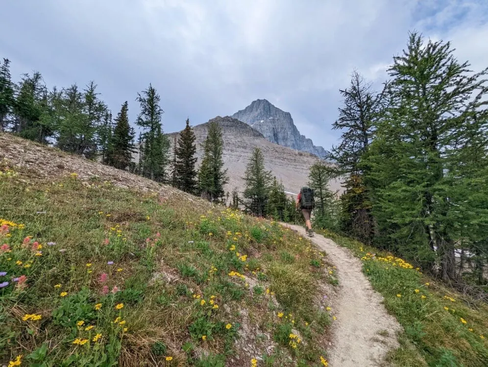 Back view of JR hiking a steep ascent to Numa Pass, with wildflowers lining the path and a huge mountain in the background