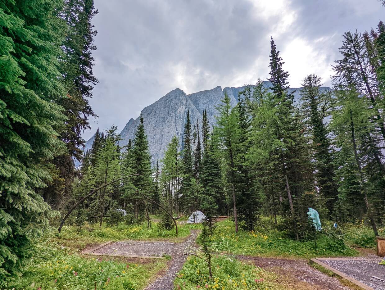 Looking across campground area at Floe Lake, with wooden framed tent pads in open area surrounded by forest