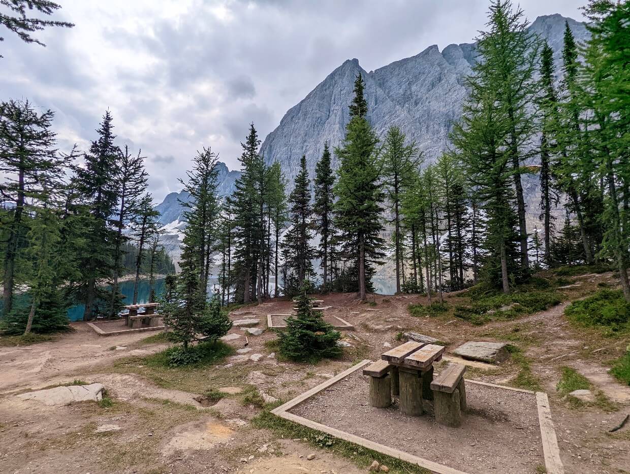 Looking across the cooking area at Floe Lake, with small tables and bench seating in front of scattered trees and mountains