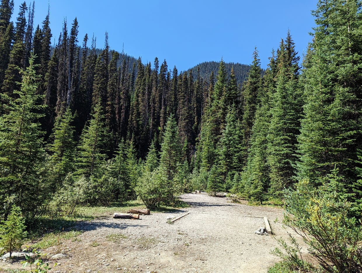 Wooden framed tent pads in Helmet Ochre Junction campground, surrounded by forest