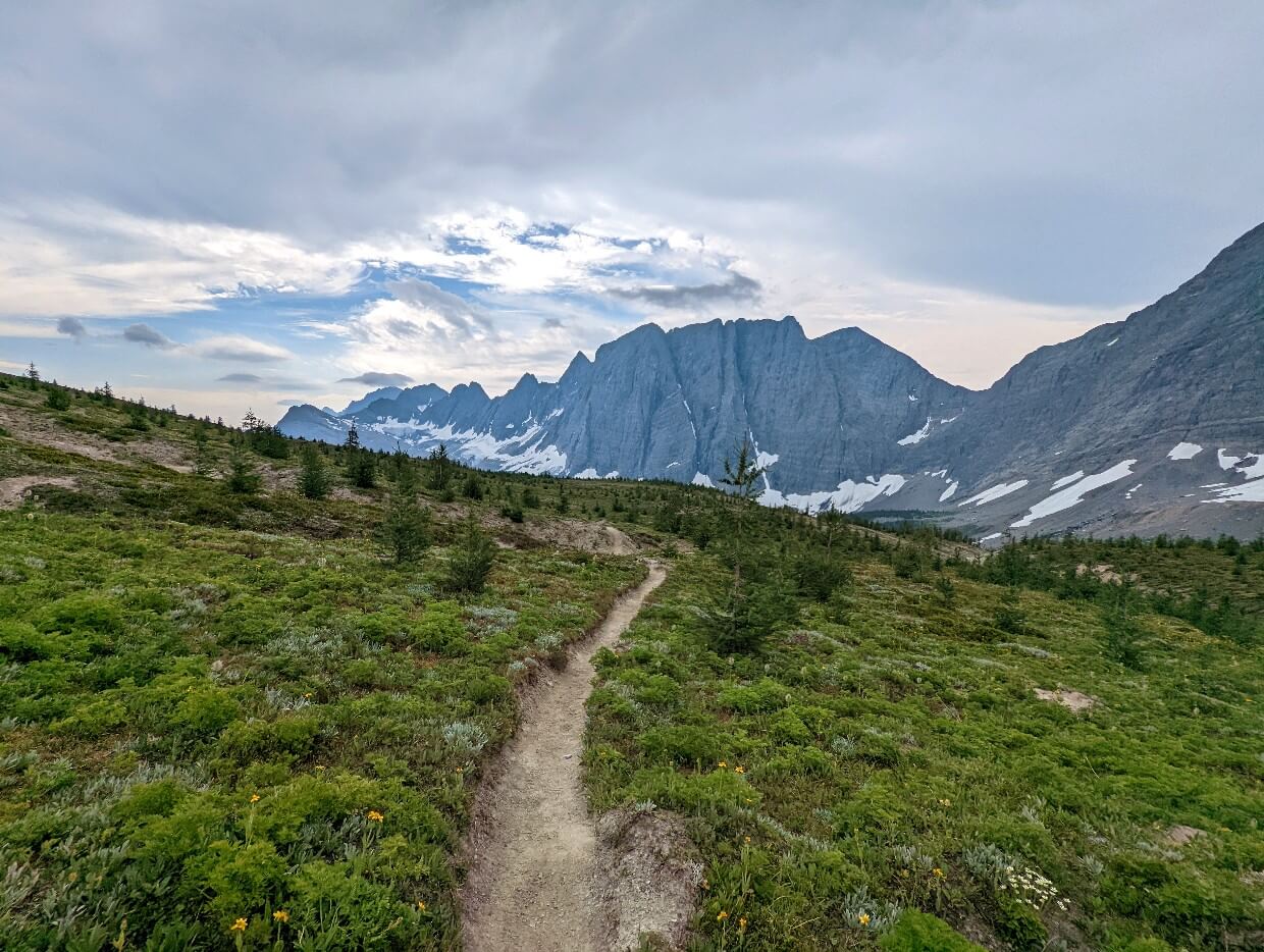 Dirt path leads through alpine meadows towards huge rock cliff