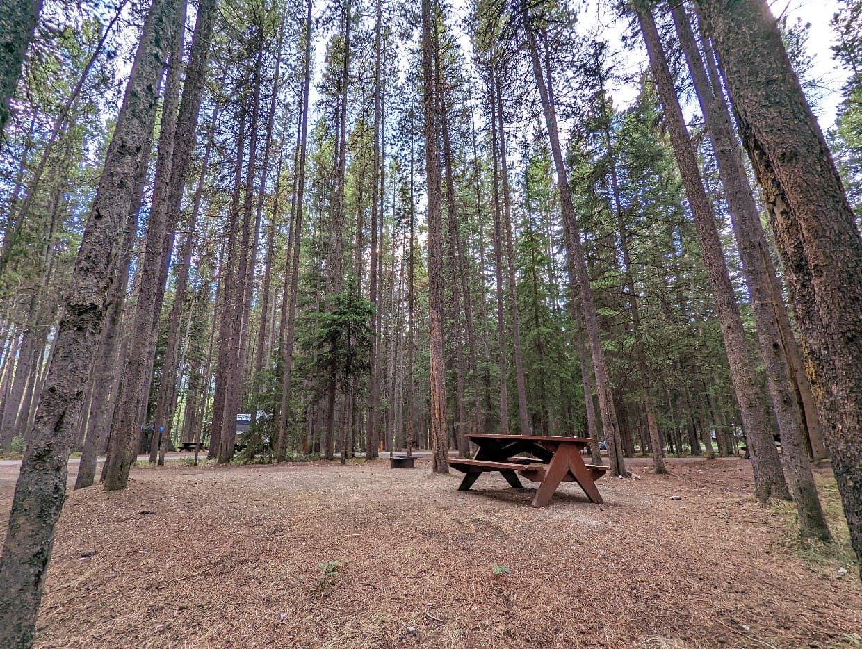 A picnic table sits in the middle of the forest in Johnston Canyon campground in Banff National Park