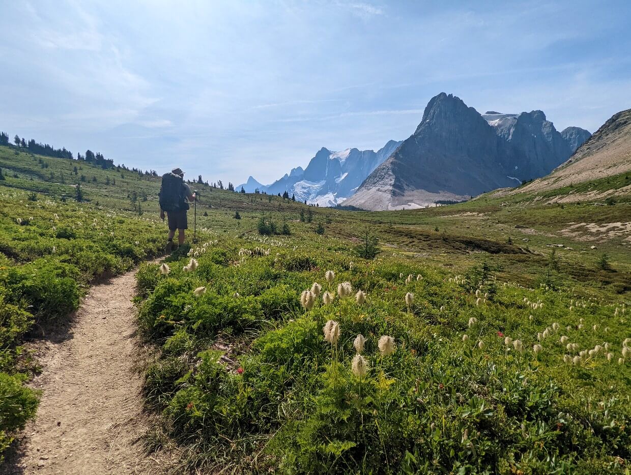 Back view of JR hiking on dirt Rockwall Trail, with huge mountains in background