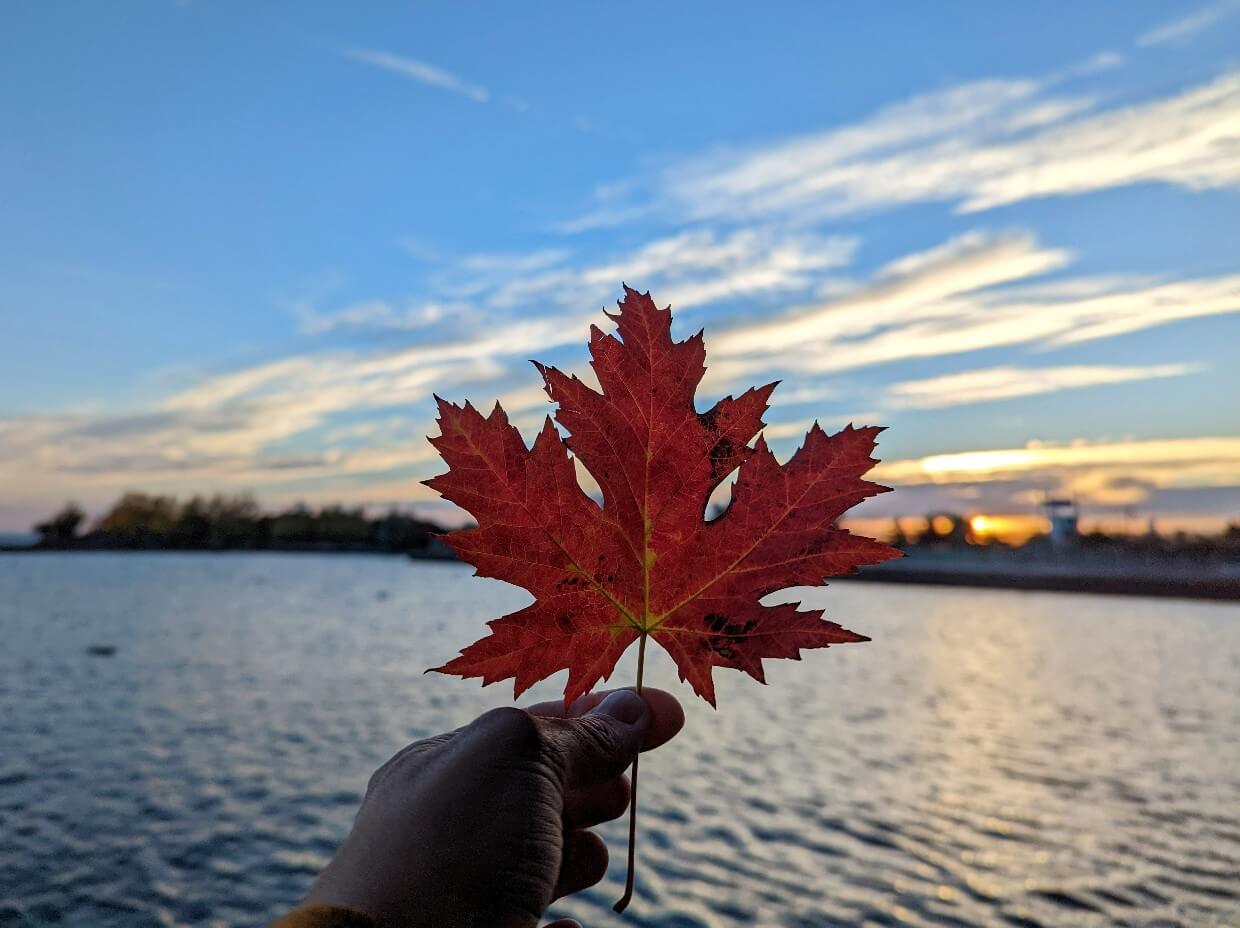 Hand holding up red maple leaf in front of camera, with sunset colours and calm lake in background