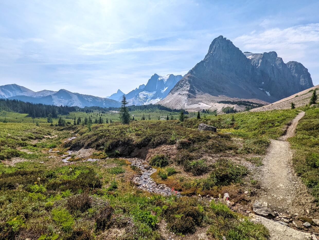 The dirt Rockwall Trail runs through a meadow and stream area near Wolverine Pass, with huge mountains visible in the background