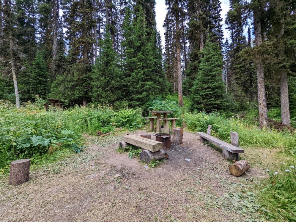Campfire ring surrounded by benches in the Numa Creek campground