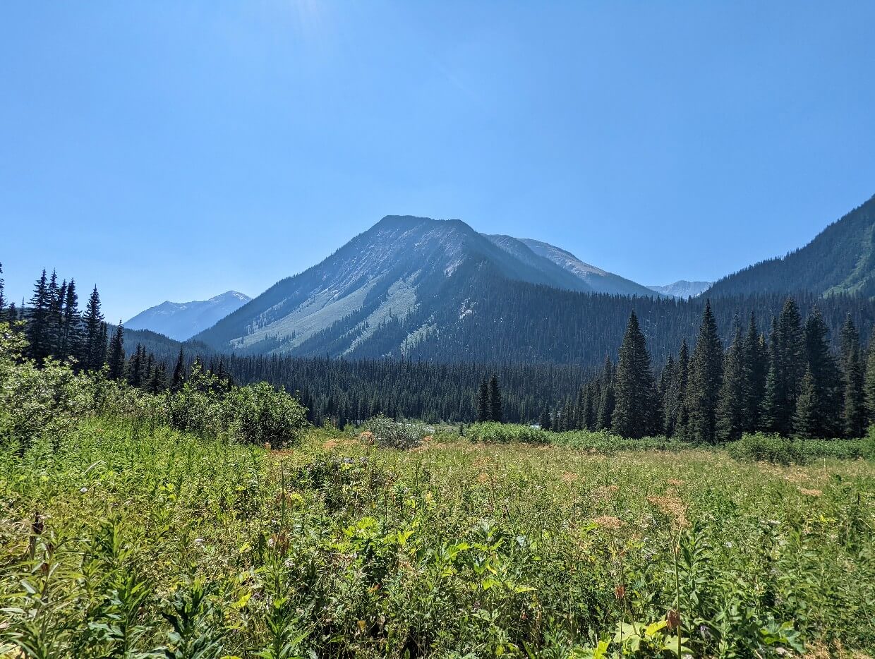 Looking across an open area between Paint Pots and Helmet Falls on the Rockwall Trail, with forested mountain visible across meadow