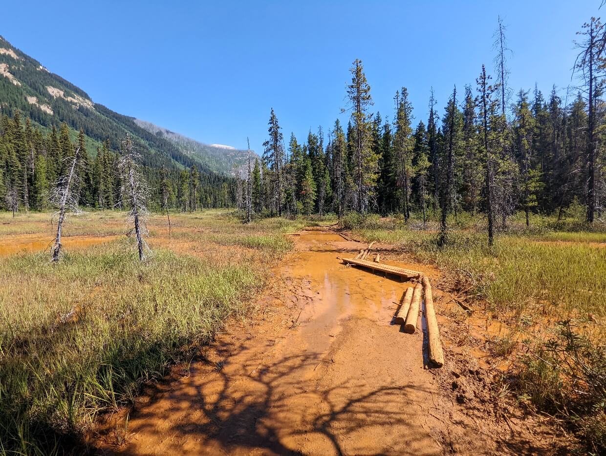 Orange coloured muddy path leading through open landscape, with scattered trees