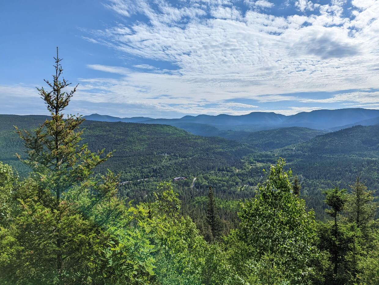Elevated viewpoint looking down on forested landscape with rolling hills