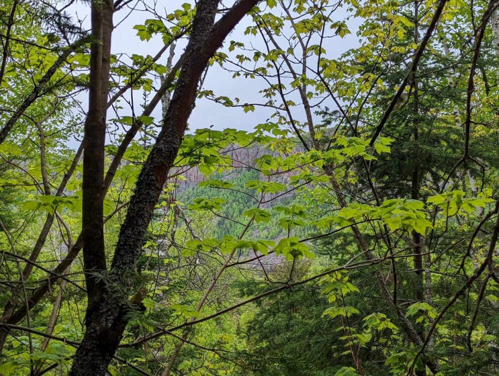 Looking through foliage towards reddish coloured cliffs in Sleeping Giant Provincial Park