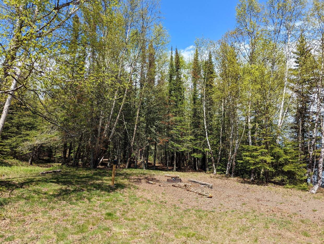 Looking across to open cooking area in Tee Harbour backcountry campground, with metal fire pit and forest surroundings