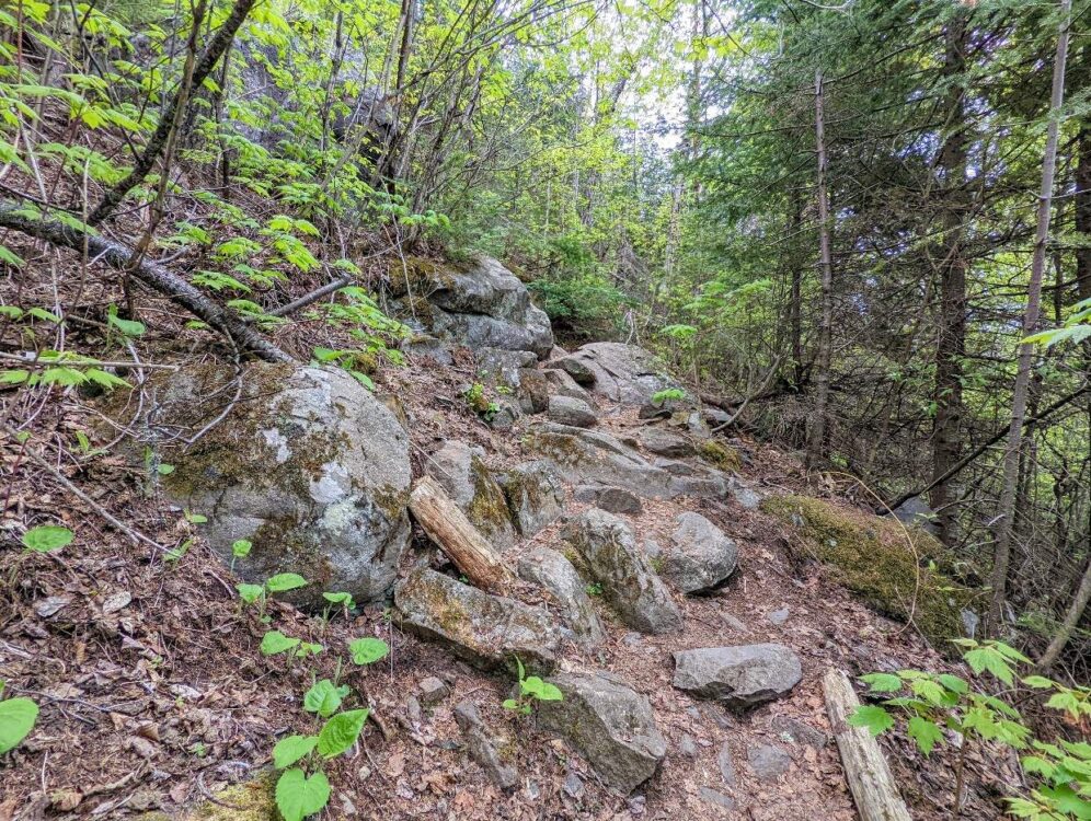 Rocky section of Top of the Giant Trail where boulders and rocks make up the forested path