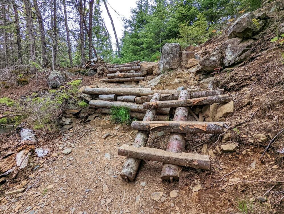 A wooden log staircase (three steps) on the South Telus Lake Trail