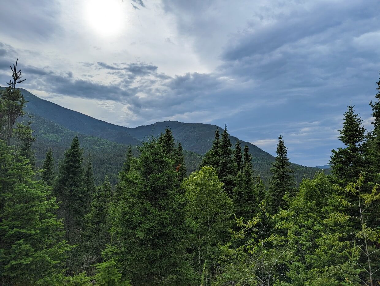Looking up to forested mountains from viewpoint on Belvédère de la Lucarne trail