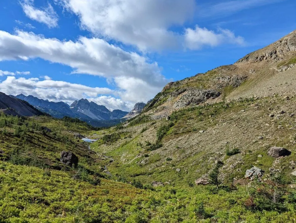 Looking across an alpine landscape with land rising on right side side, tarn in middle and small plants and rocks. There are a number of mountains in background